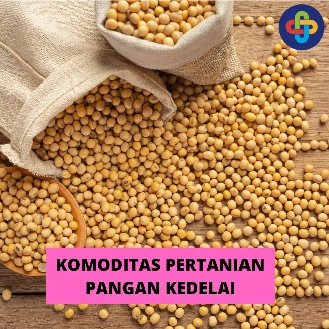 8 Faktor Yang Mempengaruhi  Komoditas Pertanian Pangan Kedelai